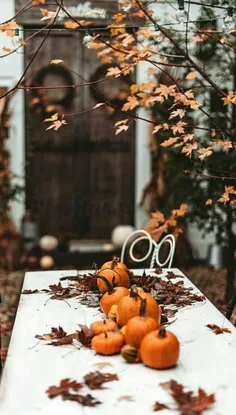 بک‌پاییزی🎃 🌿