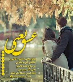 مرایک شب تحمل کن