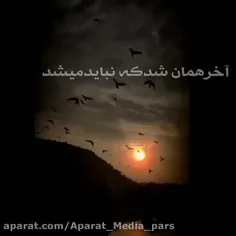 آخرهمان شد که نباید میشد😔💔