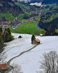 📸 سبز یا سفید یا هردو؟ اینجا بهشت دنیاست، سوئیس!
