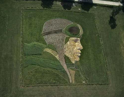 هنرنمایی زیبا به وسعت مزرعه‎