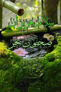 سلامی گرم در طلوعی