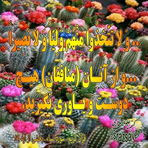 کلام وحی روزی یک آیه از قرآن مجید