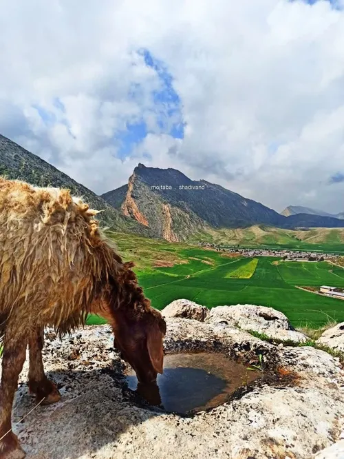 بهار اوما زِمی بی سوز و خُرَم