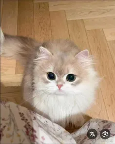 من زندممممم
