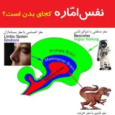 نظریه مک لین