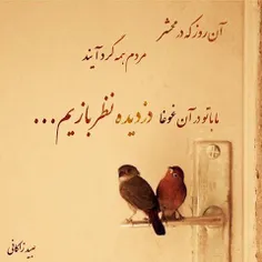 هر گَه که شبی خود را در میکده اندازیم