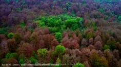 خواننده آرش کوچکان نام آهنگ بهار درضمن کپی ممنوع 