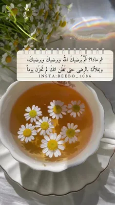 #صباح_الخیر🍂❤️ 