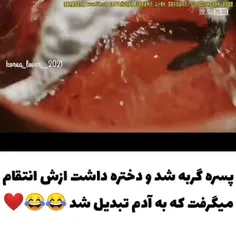 سریال گربه ی من باش