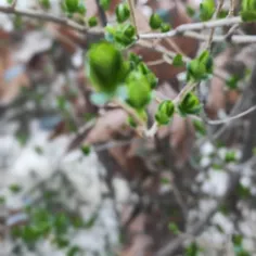 زیبایی طبیعت 🙂