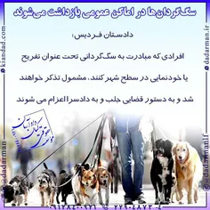 #سگ‌_گردان‌ها در #اماکن_عمومی#بازداشت می‌شوند