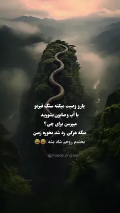 اقا تنها وصیت من گوش کنید تا روحم شاد شع😂😜😁