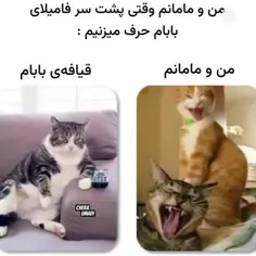 فالو  یادت نره