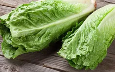 ✅️ اگر دچار بی خوابی میشوید کاهو بخورید!