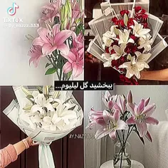 تو بهترینی