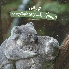 تونباشی 