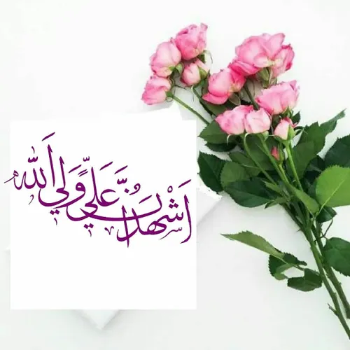 شکر خدا که نام علی (ع)در اذان ماست 💚