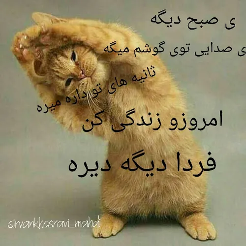 صبح بخیر