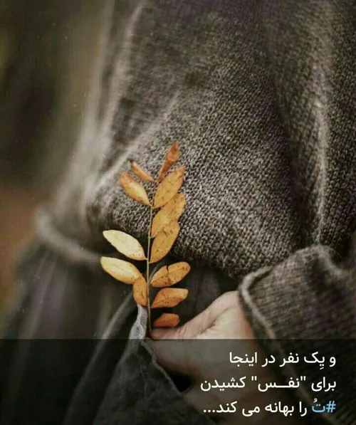 عکس نوشته bahareh6683 28903050 - عکس ویسگون