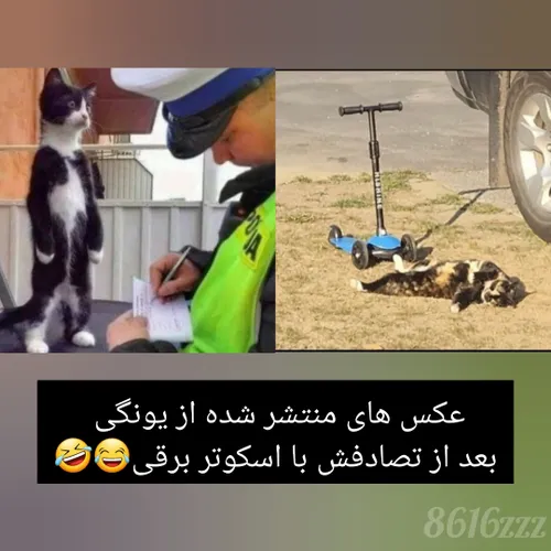 یونگی بدبخت 😂🤣 منو ببخش🥲😆🤭♥️