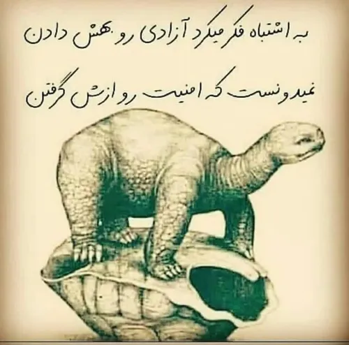 پرسش پاسخ حجاب امنیت