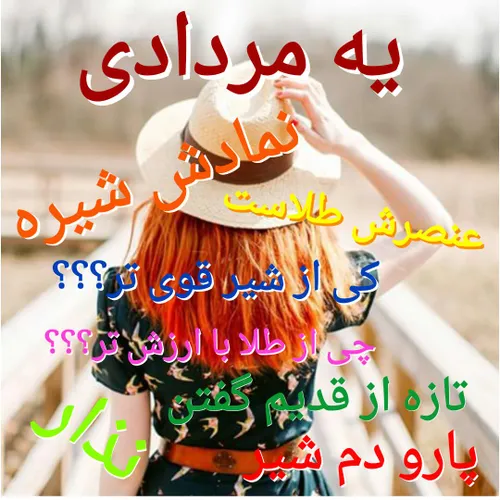 مردادیا بزنن لایکو