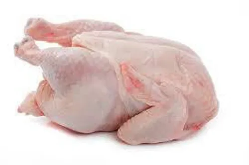 هرچه مرغ چاق تر باشد، رطوبت بیشتری در بدن تولید کرده و بن