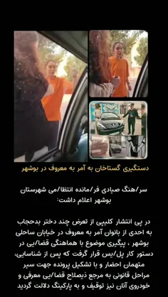 واکسن هاری هم بزنید بهشون ؛ بلکه کمتر هار شدن و پاچه گرفت