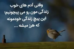 #درسته