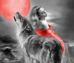 سگ که پارس کند دل کسی نمیلرزد.....اما یک گرگ که زوزه میکش