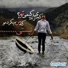 قبول کرده ام این را که عاشقت هستم..