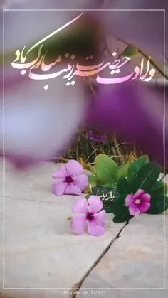 ولادت حضرت زینب(س) مبارک باد🌸🌿