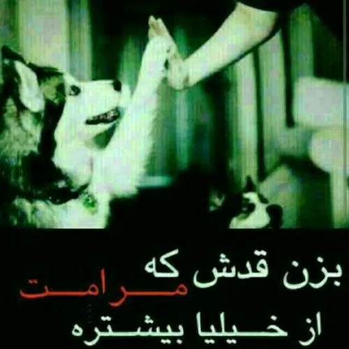 از خیلیاااااااا