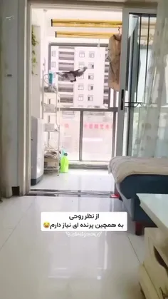 #انیمه