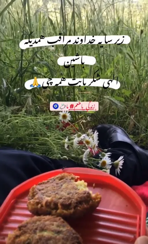 زندگی با طعم ما