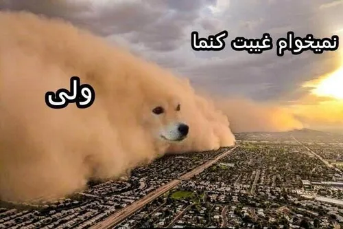 نمی خوام ولی ...😂😂😂