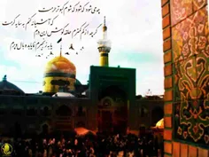 صحرای حرم امام رضا ع یادش بخیر