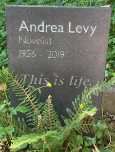آندرا لوی (به انگلیسی: Andrea Levy) (زاده ۷ مارس ۱۹۵۶ – د