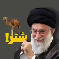 چه خوش گفت #رهبر فرزانه‌مان که آنها خوراک مار و مور خواهند شد اما جمهوری اسلامی با قدرت ادامه خواهد داد.