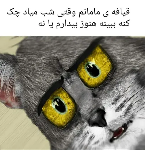 پشمام