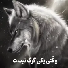 ما نفهم نیستیم ...