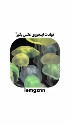 و منی که تولدم آذره😂😂:/