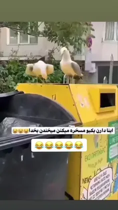 یعنی کیو سوژه کردن 🤣👊🏾👊🏾