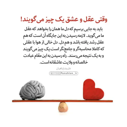 💌 وقتی عقل و عشق یک چیز می گویند!