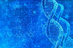 یک گرم DNA انسان ها می تواند تمام اطلاعات فیس بوک و گوگل 