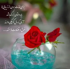 برای لذت بردن از زیبایی ها 