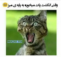 اخ راست میگه دهنت کش میاد لامصب -____-