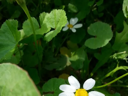 اینم یه عکس دیگه که خودم گرفتم