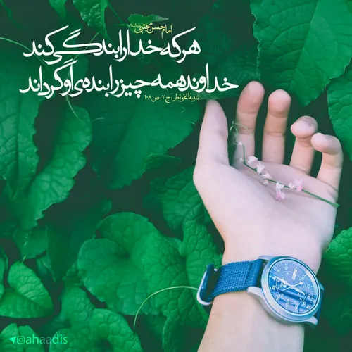 مولا علی(ع):